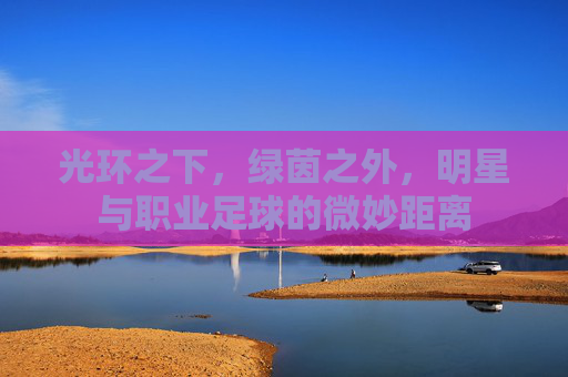 光环之下,绿茵之外,明星与职业足球的微妙距离