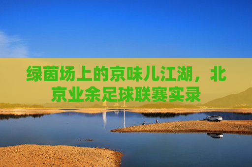 绿茵场上的京味儿江湖，北京业余足球联赛实录