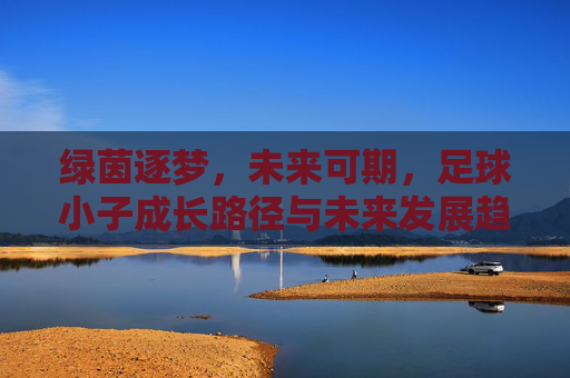 绿茵逐梦,未来可期,足球小子成长路径与未来发展趋势图解