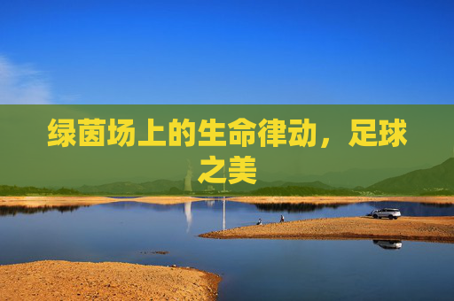 绿茵场上的生命律动，足球之美