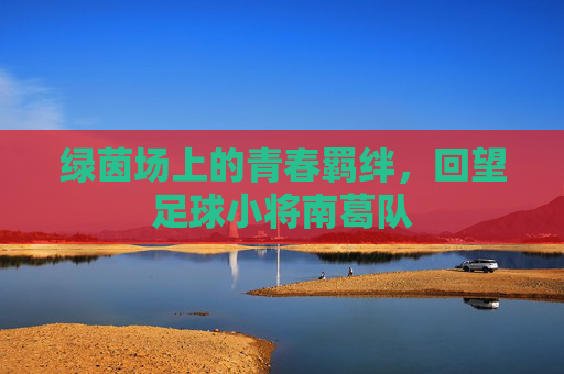 绿茵场上的青春羁绊,回望足球小将南葛队