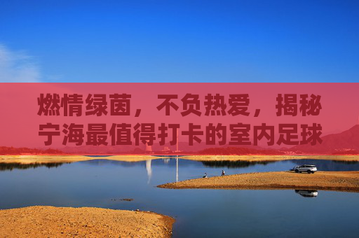 燃情绿茵，不负热爱，揭秘宁海最值得打卡的室内足球场