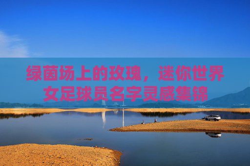 绿茵场上的玫瑰,迷你世界女足球员名字灵感集锦