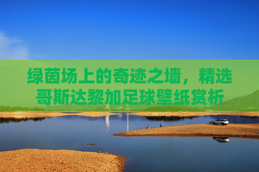 绿茵场上的奇迹之墙,精选哥斯达黎加足球壁纸赏析