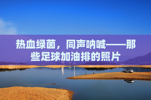 热血绿茵,同声呐喊——那些足球加油排的照片
