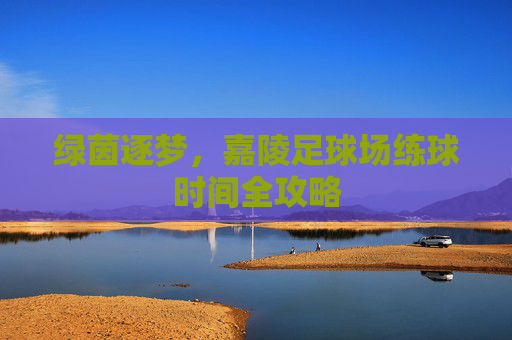 绿茵逐梦，嘉陵足球场练球时间全攻略