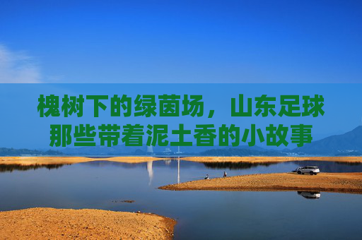 槐树下的绿茵场,山东足球那些带着泥土香的小故事