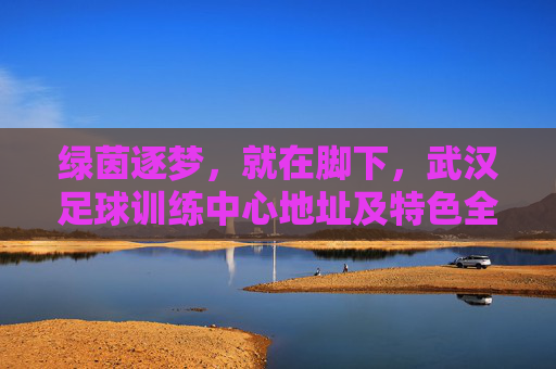 绿茵逐梦,就在脚下,武汉足球训练中心地址及特色全解析