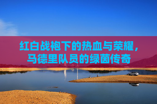 红白战袍下的热血与荣耀，马德里队员的绿茵传奇