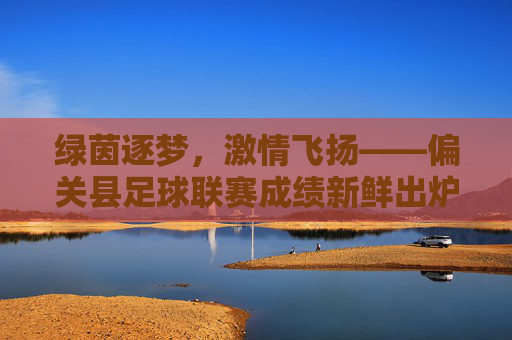 绿茵逐梦,激情飞扬——偏关县足球联赛成绩新鲜出炉