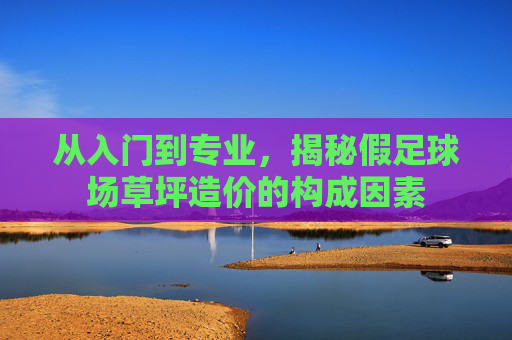 从入门到专业,揭秘假足球场草坪造价的构成因素