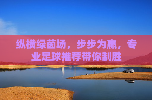 纵横绿茵场，步步为赢，专业足球推荐带你制胜