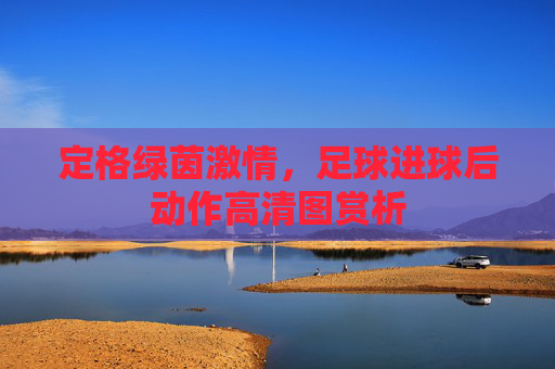 定格绿茵激情,足球进球后动作高清图赏析