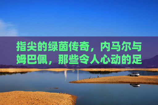 指尖的绿茵传奇，内马尔与姆巴佩，那些令人心动的足球头像