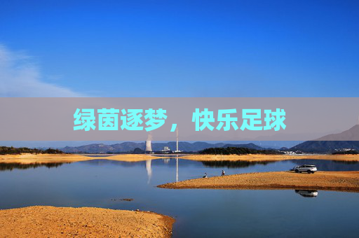 绿茵逐梦,快乐足球