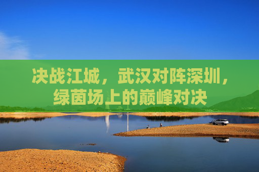 决战江城,武汉对阵深圳,绿茵场上的巅峰对决