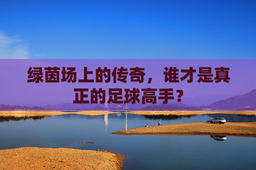 绿茵场上的传奇，谁才是真正的足球高手？