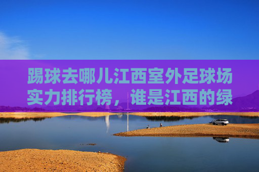 踢球去哪儿江西室外足球场实力排行榜，谁是江西的绿茵之王？