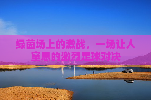绿茵场上的激战,一场让人窒息的激烈足球对决