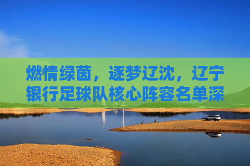 燃情绿茵，逐梦辽沈，辽宁银行足球队核心阵容名单深度解析