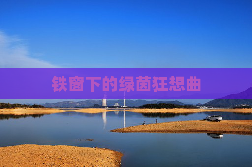 铁窗下的绿茵狂想曲