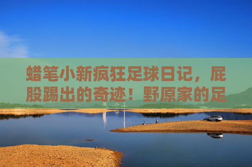 蜡笔小新疯狂足球日记,屁股踢出的奇迹!野原家的足球风暴