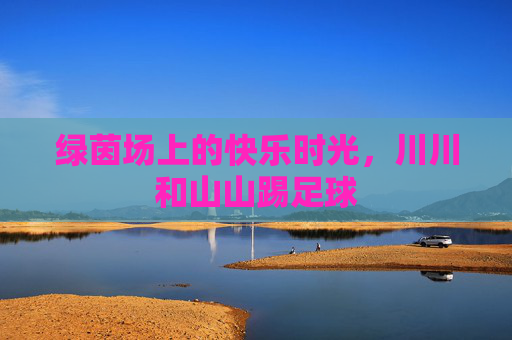 绿茵场上的快乐时光，川川和山山踢足球