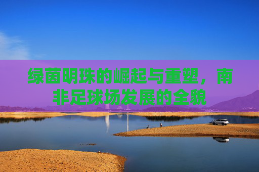 绿茵明珠的崛起与重塑,南非足球场发展的全貌