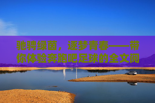 驰骋绿茵,逐梦青春——带你体验奔跑吧足球的全文阅读之旅
