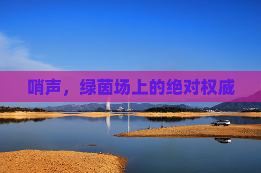哨声,绿茵场上的绝对权威