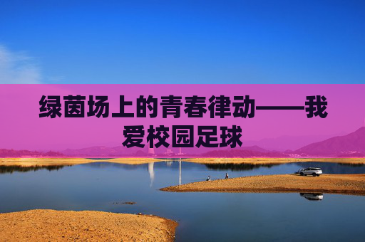 绿茵场上的青春律动——我爱校园足球
