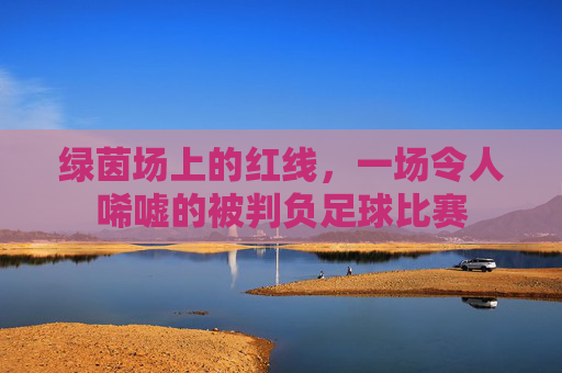 绿茵场上的红线,一场令人唏嘘的被判负足球比赛