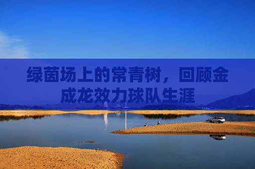 绿茵场上的常青树，回顾金成龙效力球队生涯