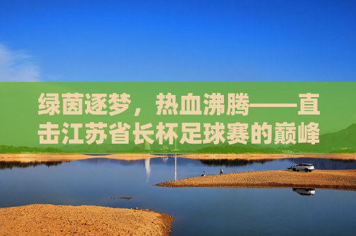 绿茵逐梦,热血沸腾——直击江苏省长杯足球赛的巅峰对决