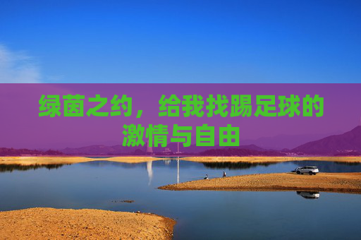 绿茵之约,给我找踢足球的激情与自由