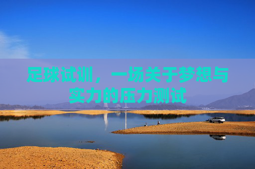 足球试训,一场关于梦想与实力的压力测试