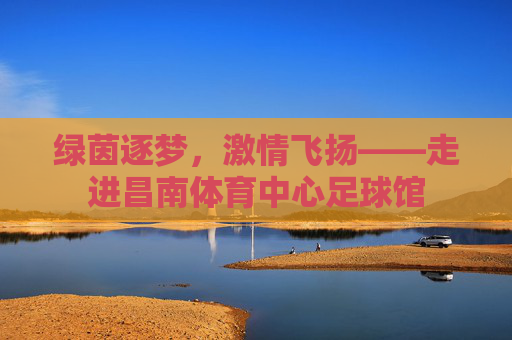 绿茵逐梦,激情飞扬——走进昌南体育中心足球馆