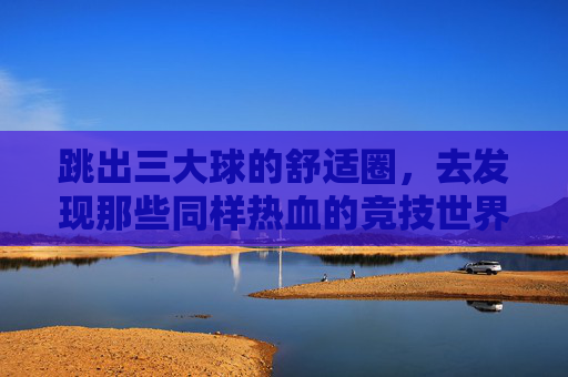 跳出三大球的舒适圈，去发现那些同样热血的竞技世界
