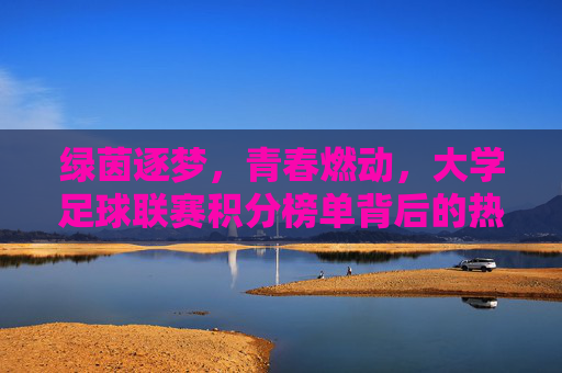 绿茵逐梦,青春燃动,大学足球联赛积分榜单背后的热血与荣耀