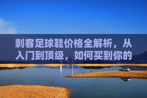 刺客足球鞋价格全解析,从入门到顶级,如何买到你的本命战靴?