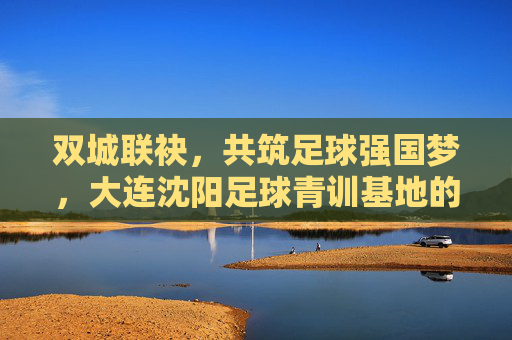 双城联袂,共筑足球强国梦,大连沈阳足球青训基地的崛起与未来
