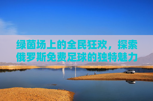 绿茵场上的全民狂欢，探索俄罗斯免费足球的独特魅力