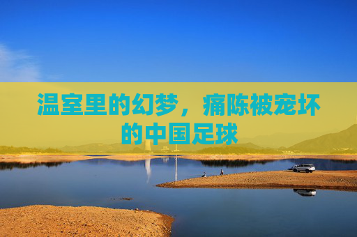 温室里的幻梦,痛陈被宠坏的中国足球