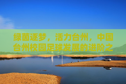 绿茵逐梦,活力台州,中国台州校园足球发展的进阶之路