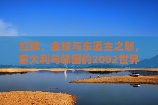 红牌、金球与东道主之怒,意大利与韩国的2002世界杯往事