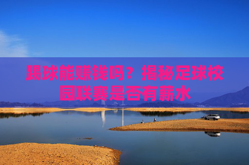 踢球能赚钱吗?揭秘足球校园联赛是否有薪水