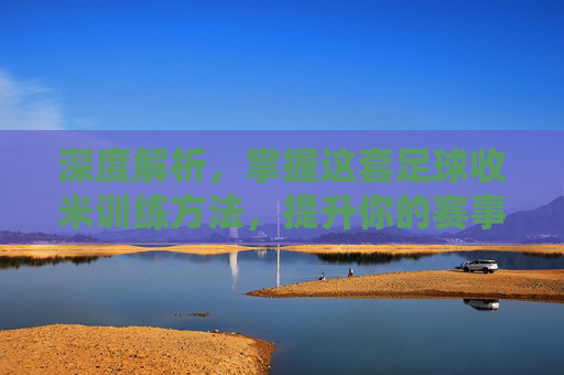 深度解析,掌握这套足球收米训练方法,提升你的赛事洞察力与胜率