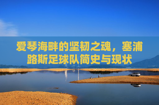 爱琴海畔的坚韧之魂,塞浦路斯足球队简史与现状