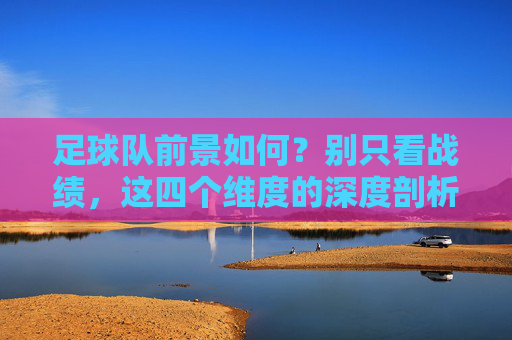 足球队前景如何?别只看战绩,这四个维度的深度剖析,才是判断未来的关键