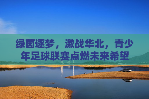 绿茵逐梦,激战华北,青少年足球联赛点燃未来希望